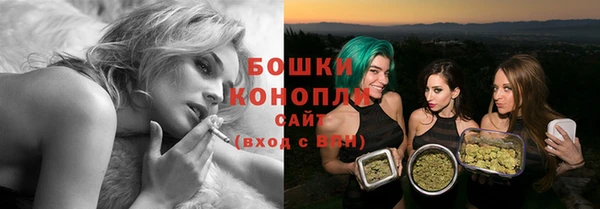 сатива Заволжье