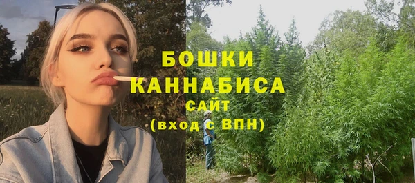 сатива Заволжье