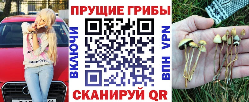 Купить  Ульяновск  Псилоцибиновые грибы Magic Shrooms 